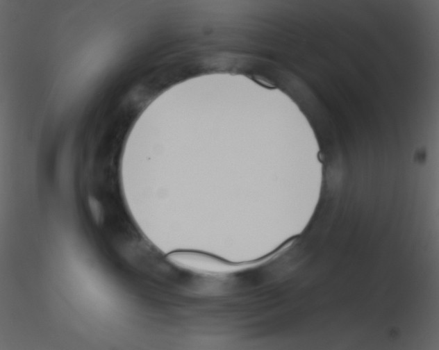 X0000115730429200912241630