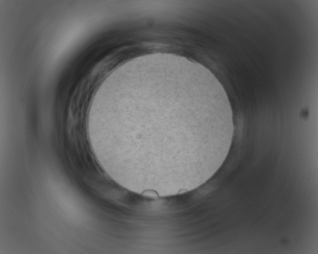 X0000115730430200912241630