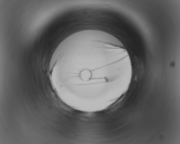 X0000115730431200912241630