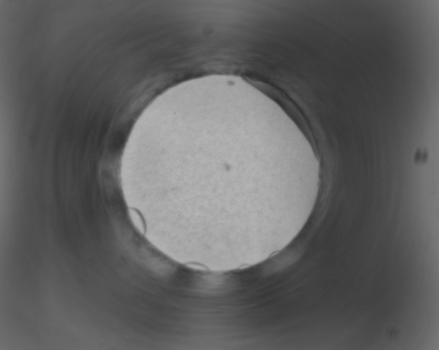 X0000115730432200912241630