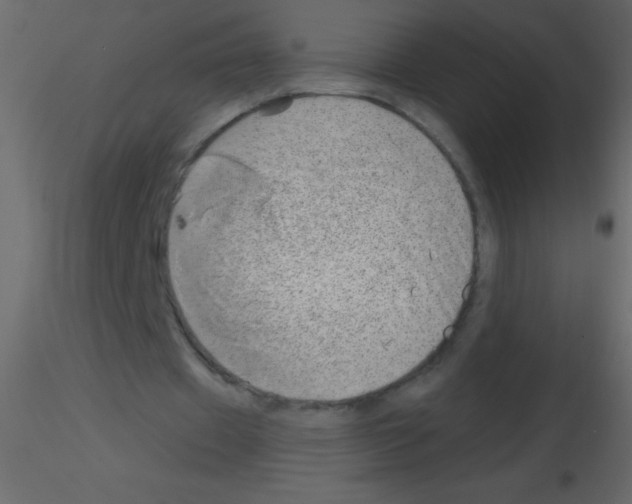 X0000115730433200912241629
