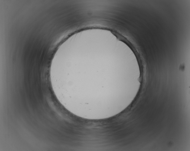 X0000115730434200912241629