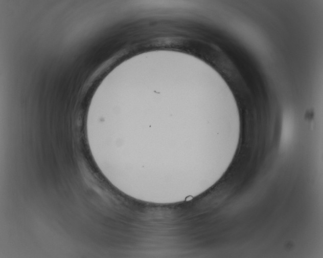 X0000115730435200912241629