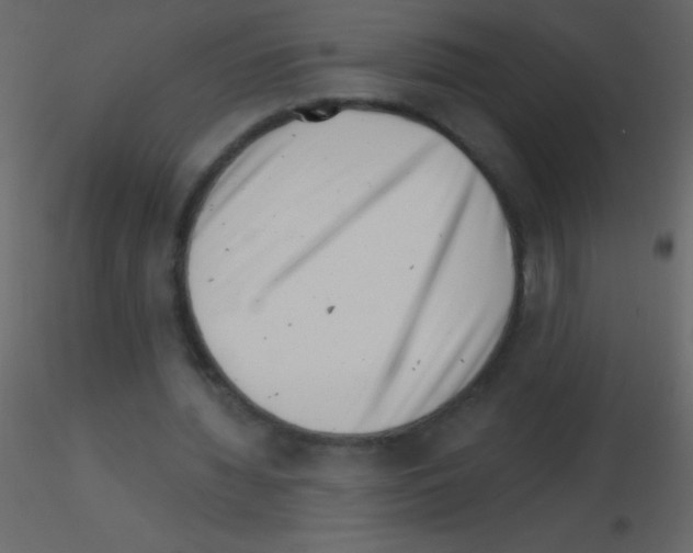 X0000115730436200912241629