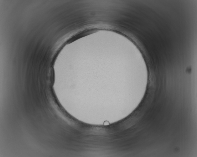 X0000115730437200912241629