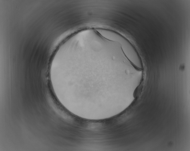 X0000115730438200912241629