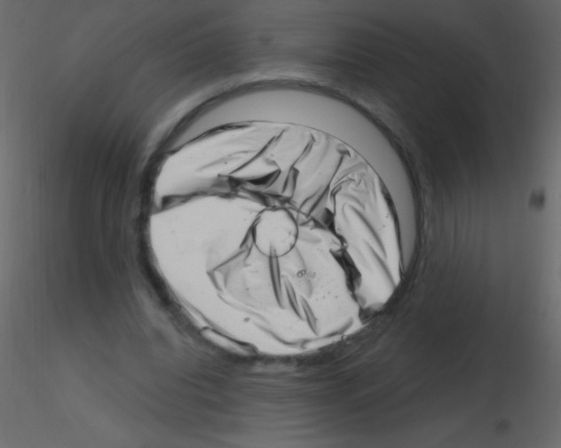 X0000115730440200912241629