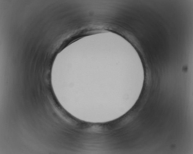 X0000115730441200912241629