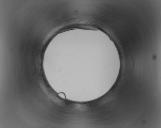 X0000115730442200912241629