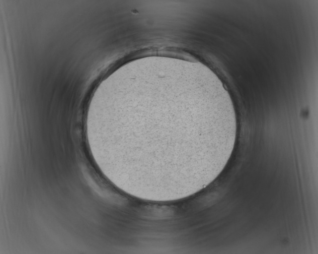 X0000115730443200912241629