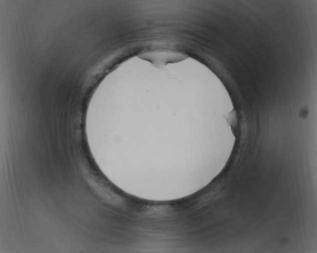 X0000115730446200912241629