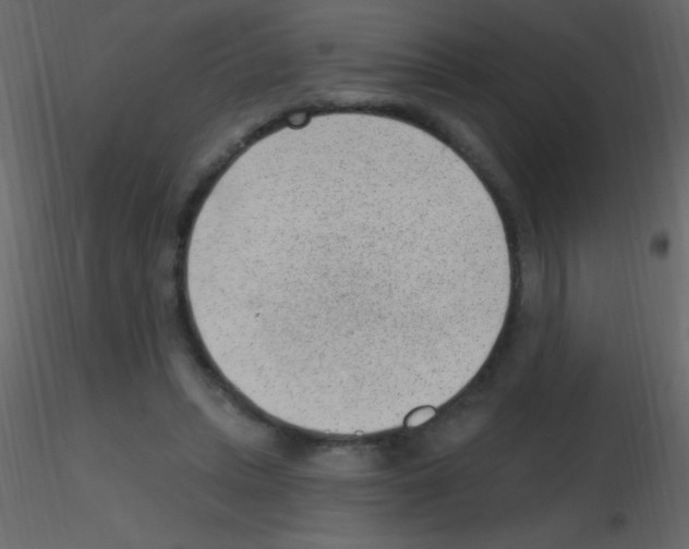 X0000115730447200912241630
