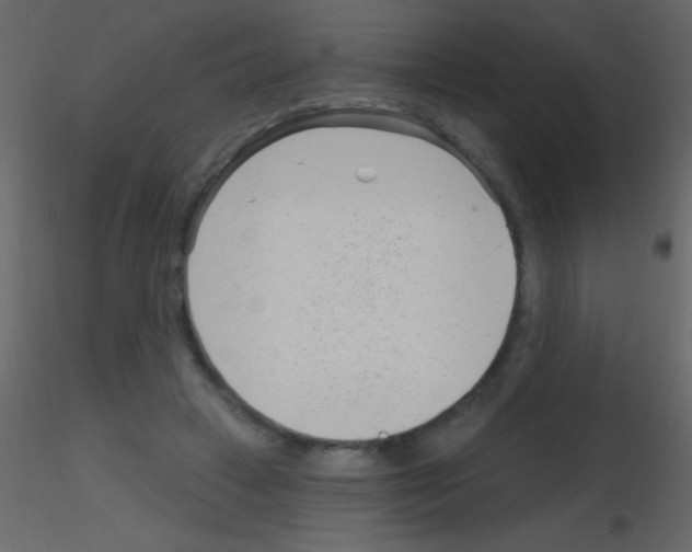 X0000115730449200912241630