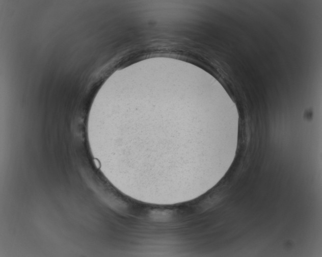 X0000115730450200912241630