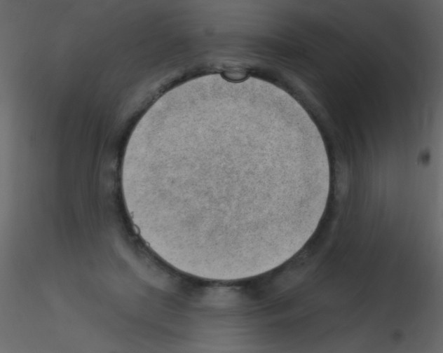 X0000115730451200912241630