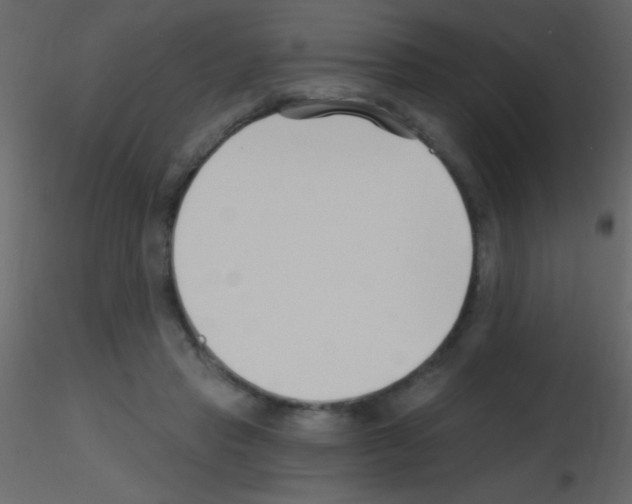 X0000115730453200912241630