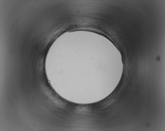 X0000115730454200912241630
