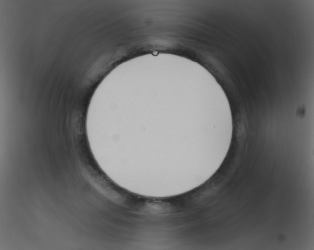 X0000115730455200912241630