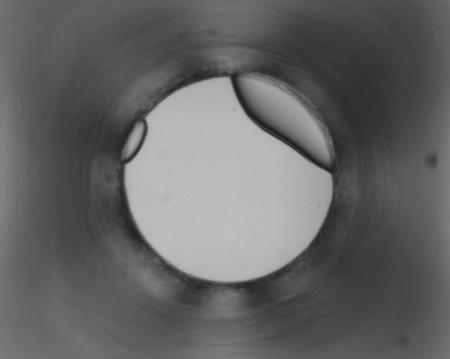 X0000115730456200912241630