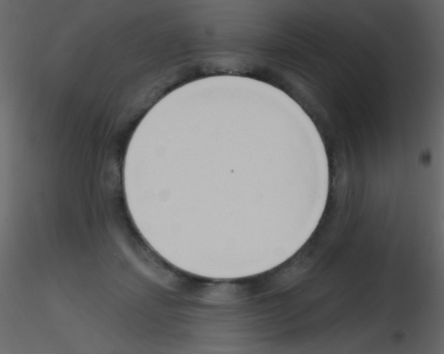 X0000115730459200912241630