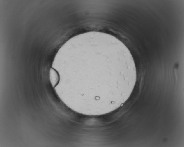 X0000115730460200912241630