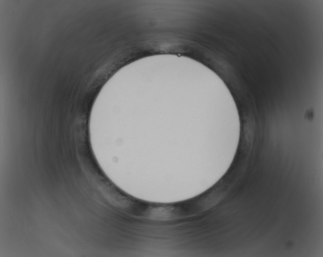 X0000115730461200912241630