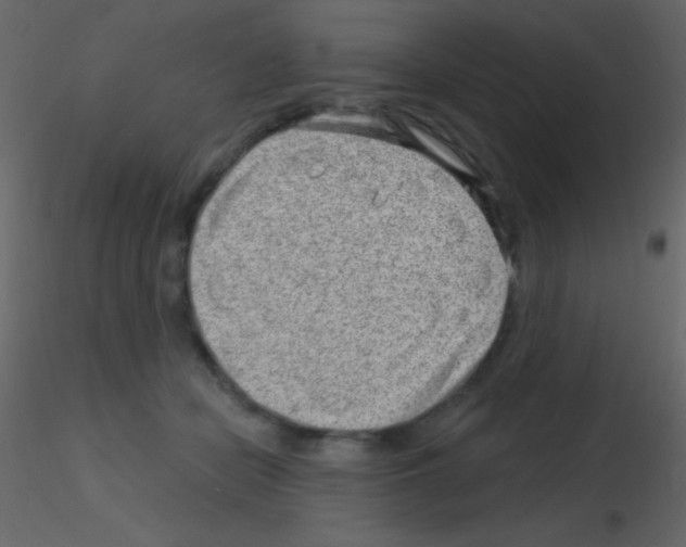 X0000115730462200912241630