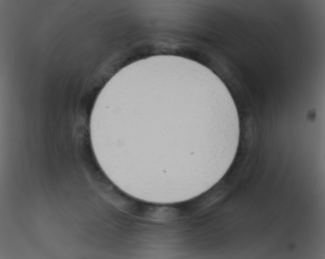 X0000115730463200912241630