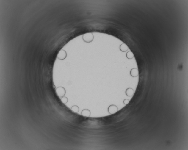 X0000115730464200912241630