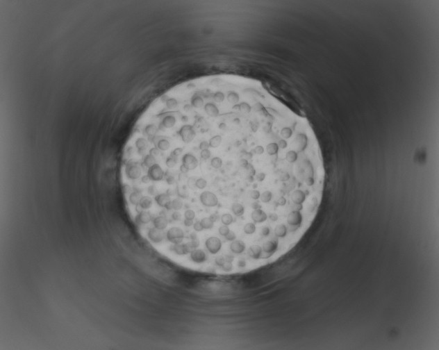 X0000115730466200912241630