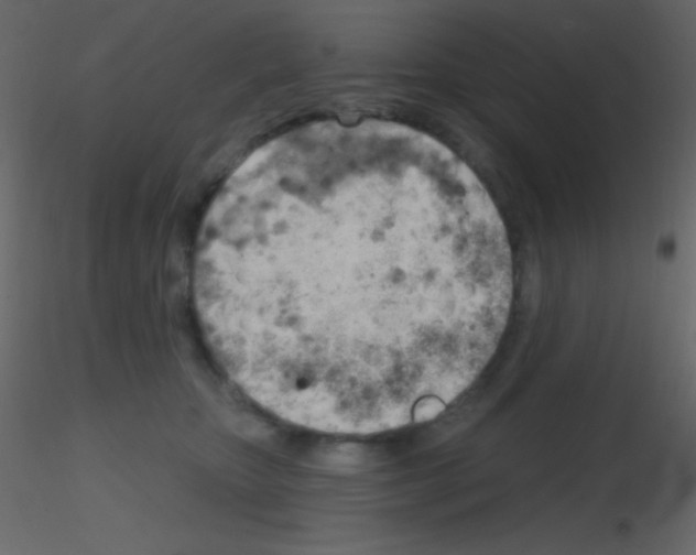 X0000115730467200912241630