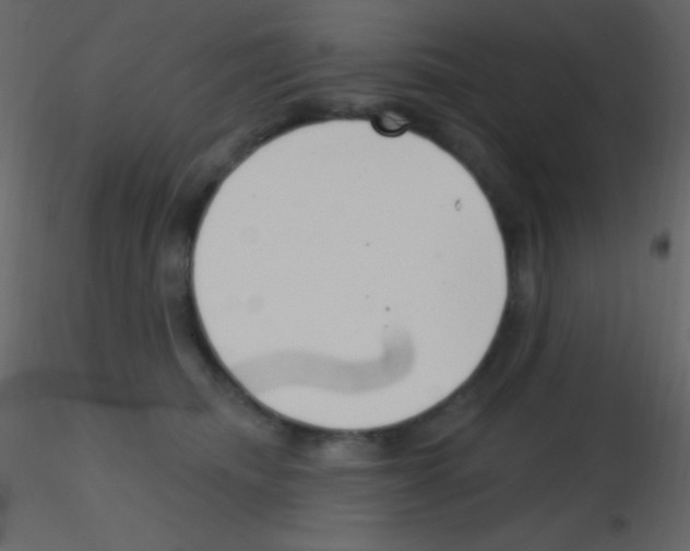X0000115730468200912241630