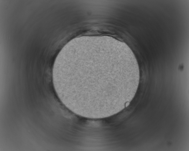 X0000115730469200912241630