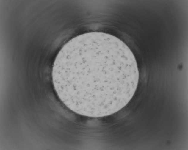 X0000115730470200912241630