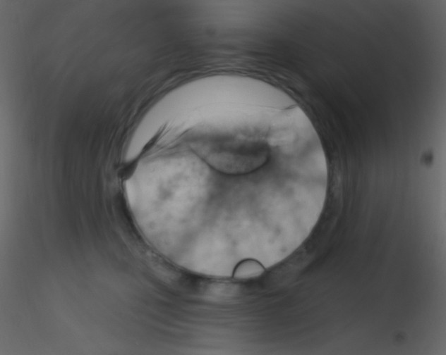 X0000115730471200912241630