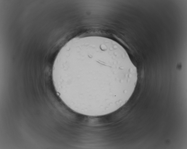 X0000115730472200912241630