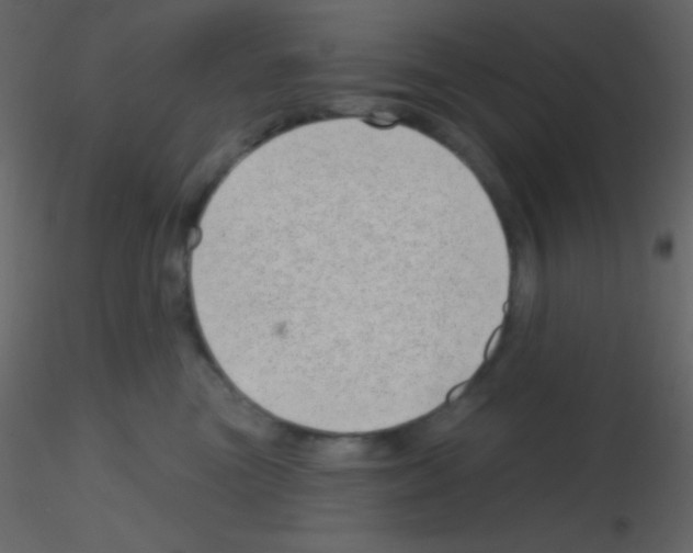 X0000115730473200912241630