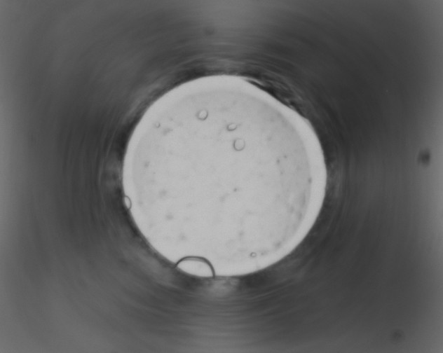 X0000115730474200912241630
