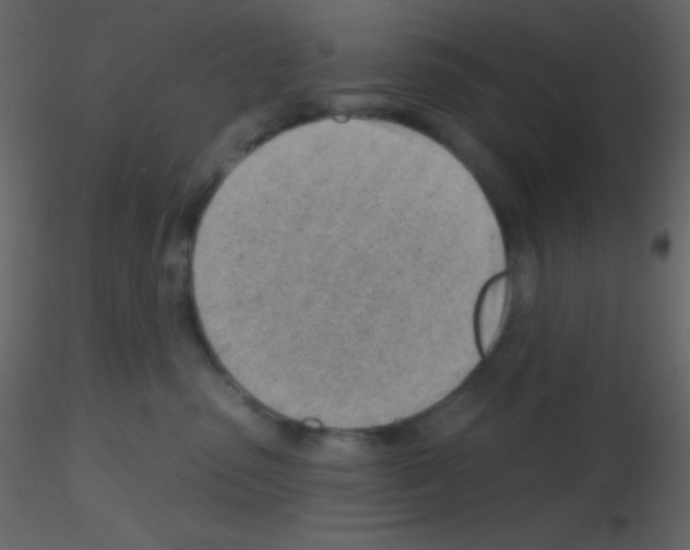 X0000115730475200912241630