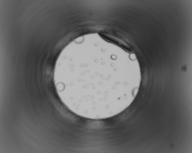 X0000115730476200912241630