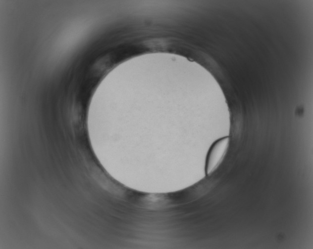 X0000115730477200912241630