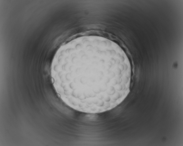 X0000115730478200912241630