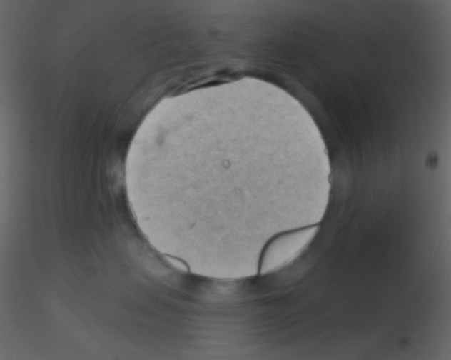 X0000115730479200912241630