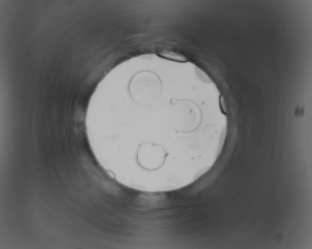 X0000115730480200912241630