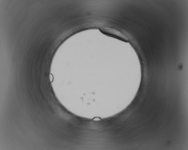 X0000115730481200912241629