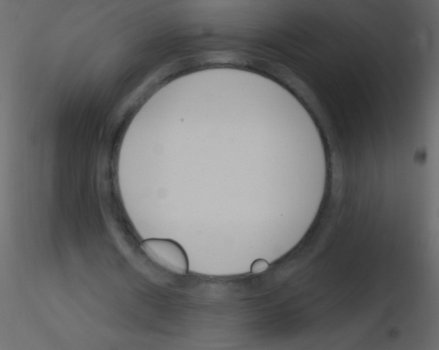 X0000115730482200912241629
