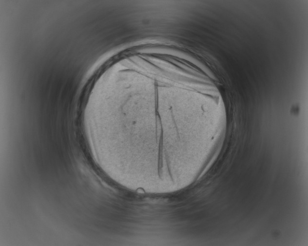 X0000115730484200912241629