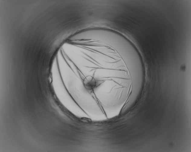 X0000115730485200912241629