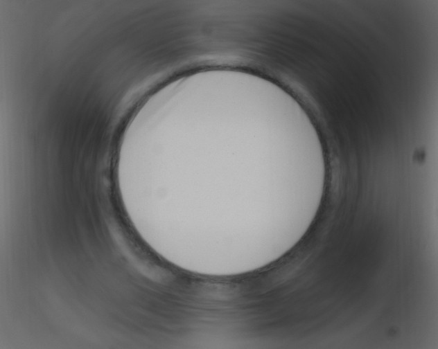X0000115730486200912241629