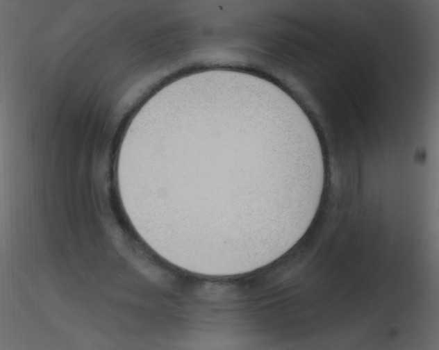 X0000115730487200912241629
